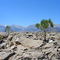Sierra Nevada mountains