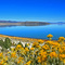 A Different Side of Mono Lake  ...10.21.07*