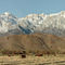 Lone Pine panorama
