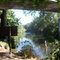 Stanislaus River at Orangeblossom where raft trip ends..