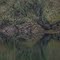 Stanislaus River