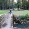 Golf Footbridge