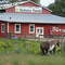 O'Leary's Feed Store