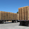 Cutter Lumber Company Pallets