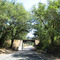 Walker Road Viaduct