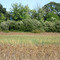 LIttle Lake Valley West Side Wetlands