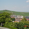 Vignoble champenois