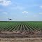 2012_06-21_P1040953_Crop Duster