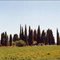 Cottonwood Cemetery