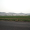 Watering the alfalfa