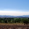 California Smoke, Nevada Valley