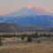 Mt. Shasta Sunset