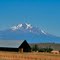Mt. Shasta