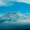 Shasta