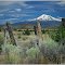 Mount Shasta - 14,179' (4,322m)