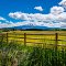 Mt. Shasta_DSC1281