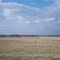 Between Seminole & Shawnee, Oklahoma