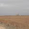 Deer & Oil Well