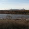 Sutter Buttes