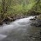 East Weaver Creek