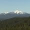 Shasta Bally