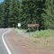 2011, Modoc, California, USA - Rt 299 through the mountains