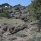 Soldier Creek Trail beyond Stough Campground