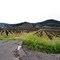 Dry Creek Vineyards  -->S
