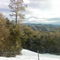 Snow on Pine Mountain, January 22, 2008