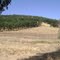 Latrobe Road, Latrobe, California
