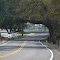 Tree Tunnel