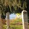 Petaluma ranch country