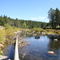 Little Truckee River near rte 89