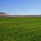 Newell Ca...