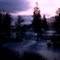 mammoth at dawn
