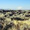 Mount Shasta