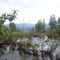 Trinity Lake, Trinity Ceneter, CA