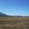 Looking toward Mt. Shasta from near Glenburn, CA