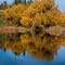 Autumn Reflections on the Pit River