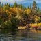 Autumn on Hat Creek