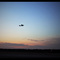 A little plane