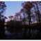 Cypress Creek