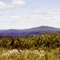 Moosehead Lake from Indian HIll