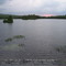 Shirley Mills Pond