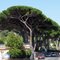 Côte d'Azur, Route Nationale 98