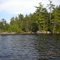 Rough coastline, Dense forest