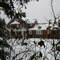 First Snow - November 16, 2007