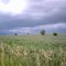 Nebraska grassland.