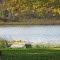 Little Rose Lake