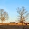 Cattle Field - Hanover County, VA.